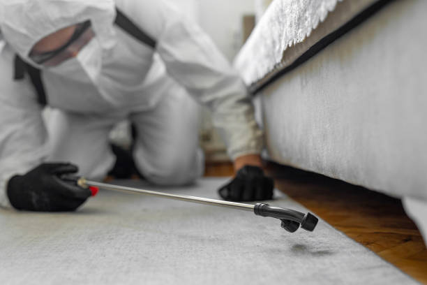 Professional Pest Control technician working in McCulloch County County, TX